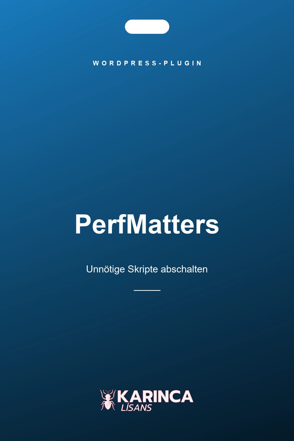 PerfMatters Lizenz für WordPress – Produktbild von Karınca Lisans