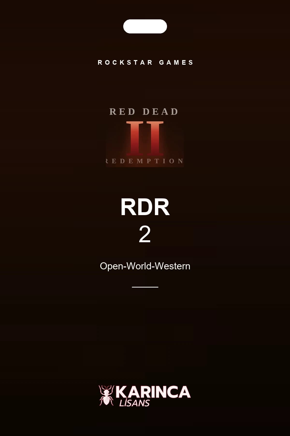 Red Dead Redemption 2 als Steam-Konto für den PC – Produktbild von Karınca Lisans