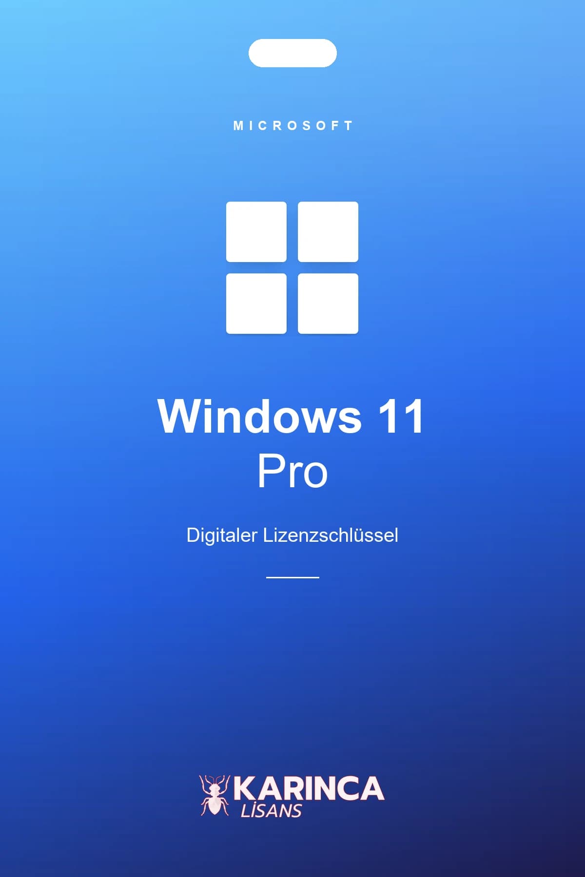 Windows 11 Pro Product Key – Produktbild von Karınca Lisans