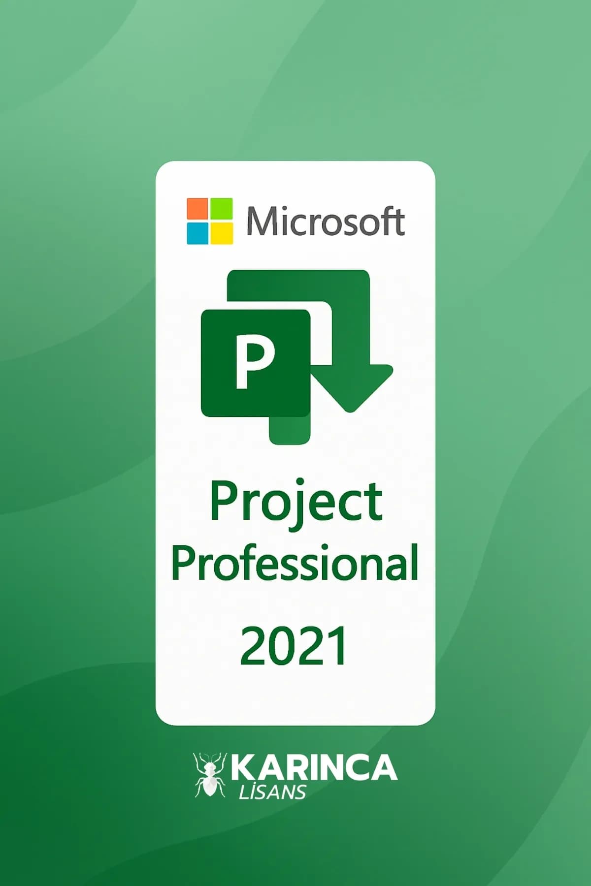 Project Pro 2021 License Key