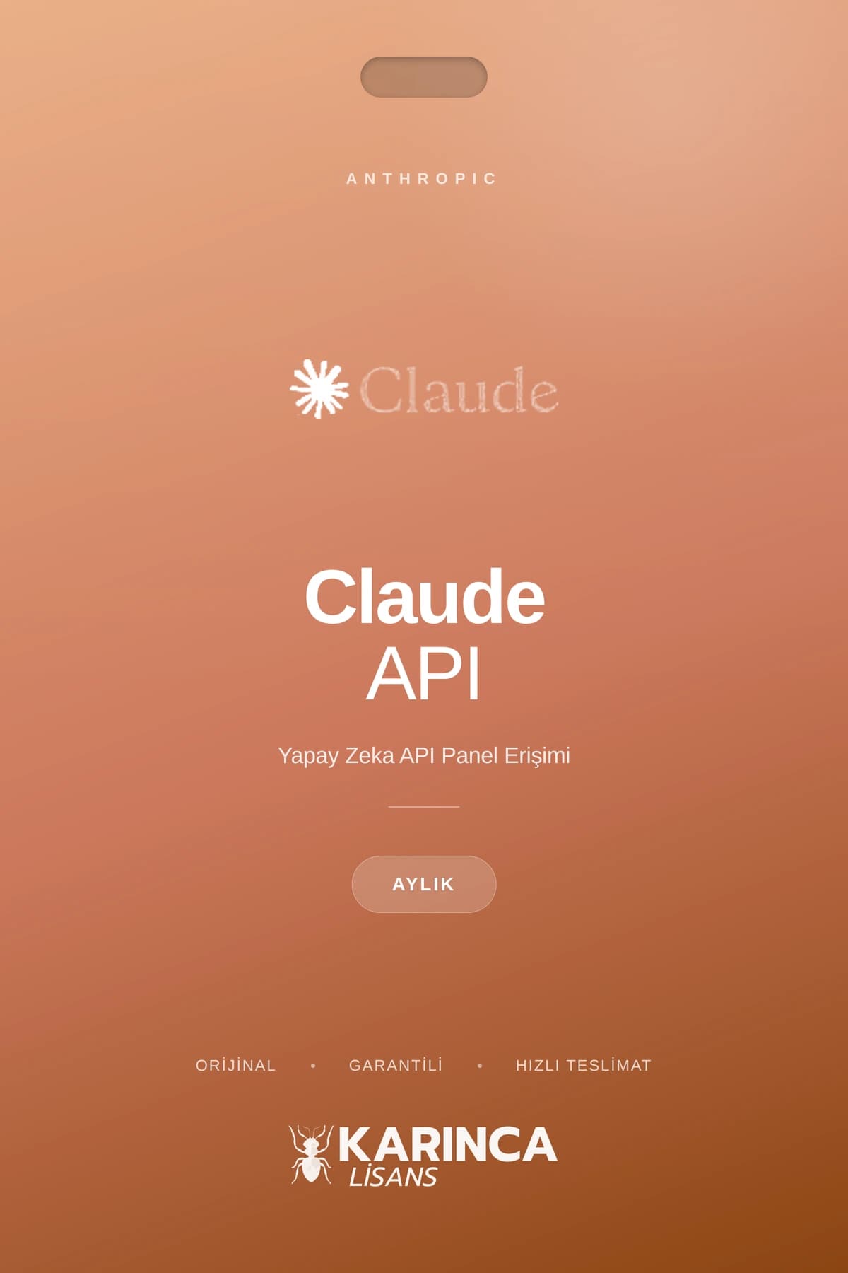 Claude License API Panel