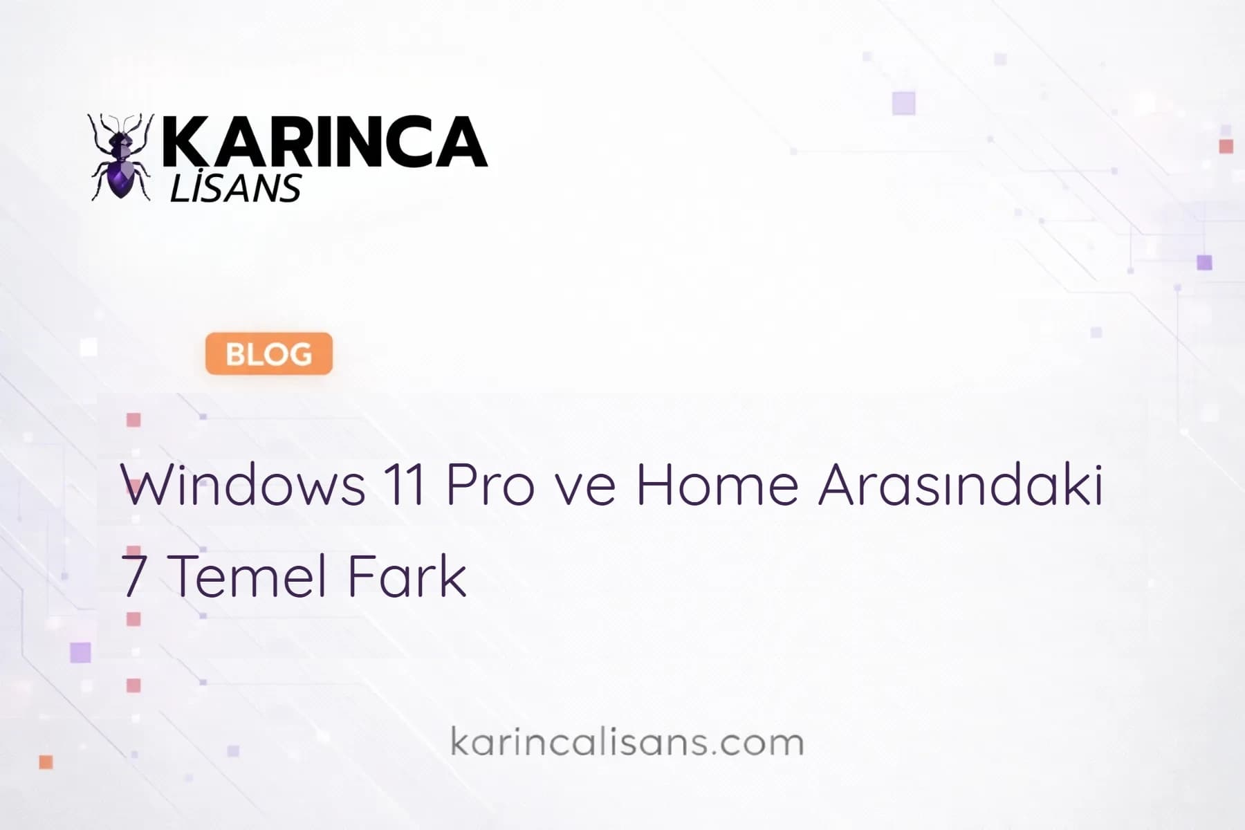 Windows 11 Pro ve Home Arasındaki 7 Temel Fark