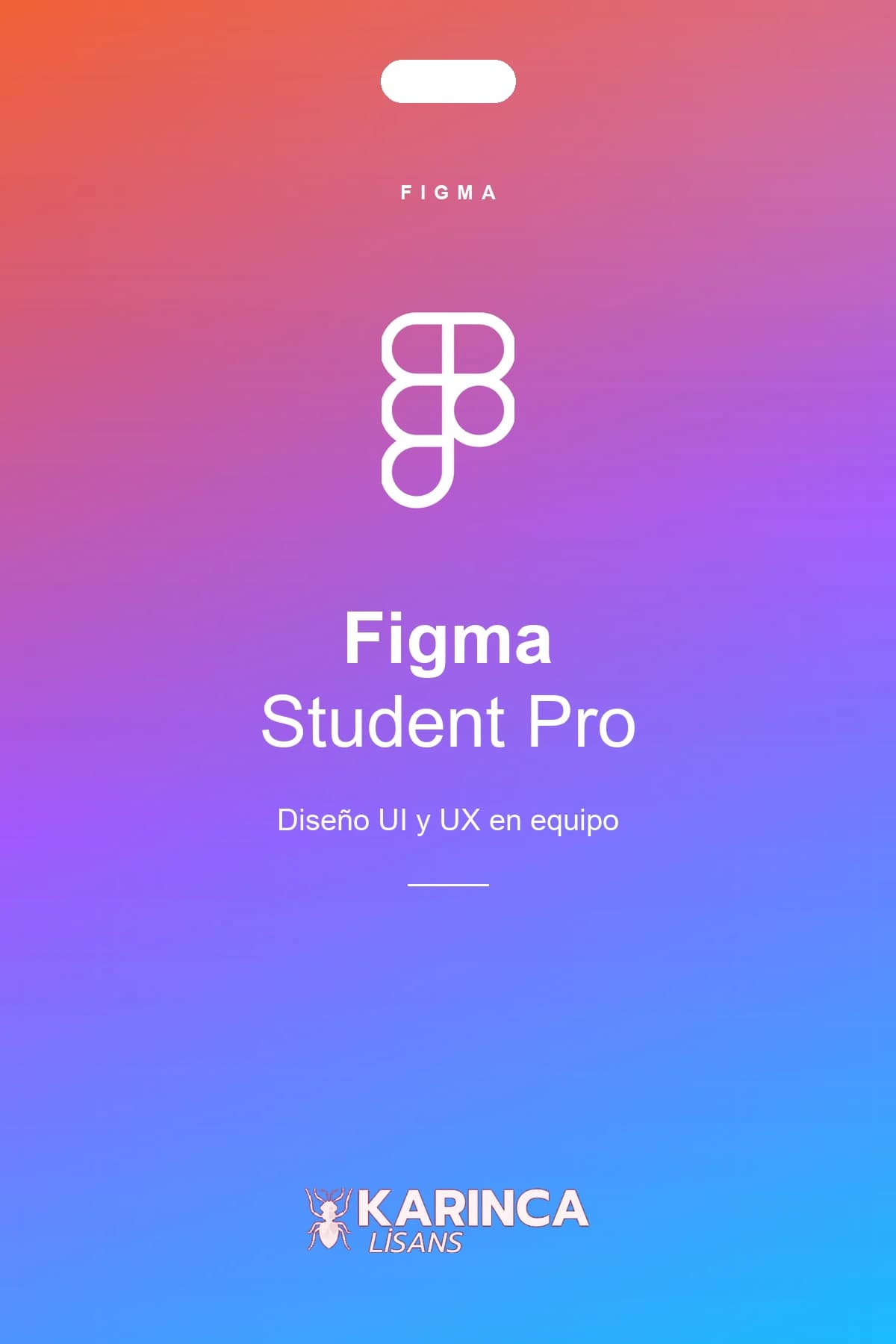 Licencia de Figma Pro