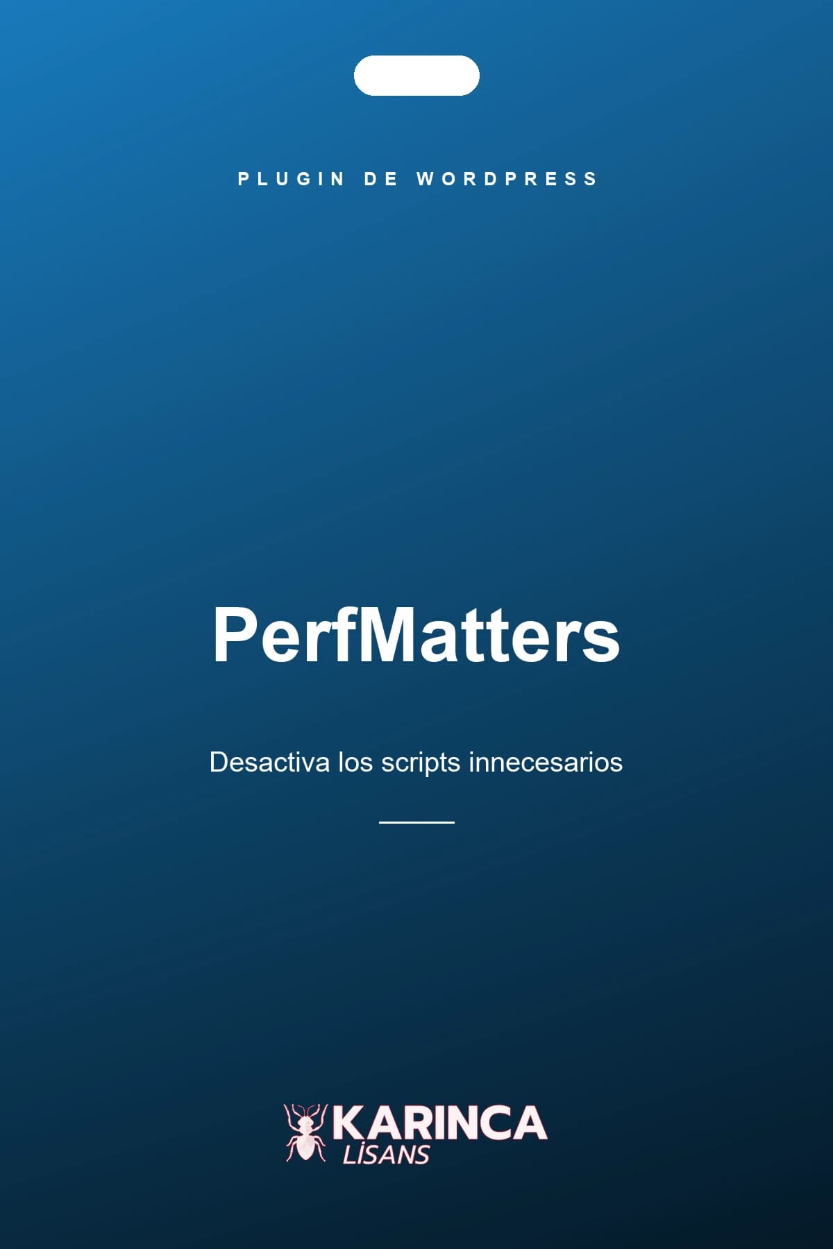 Licencia de Perfmatters Pro para WordPress