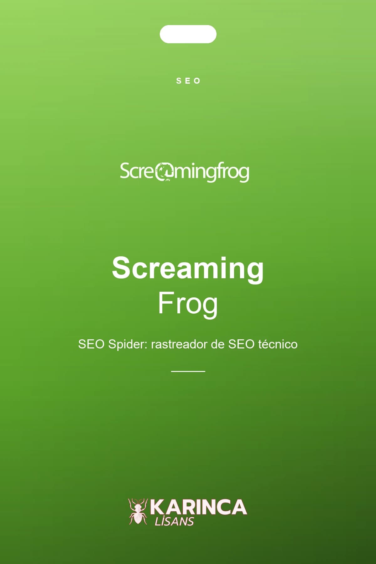 Licencia de Screaming Frog SEO Spider