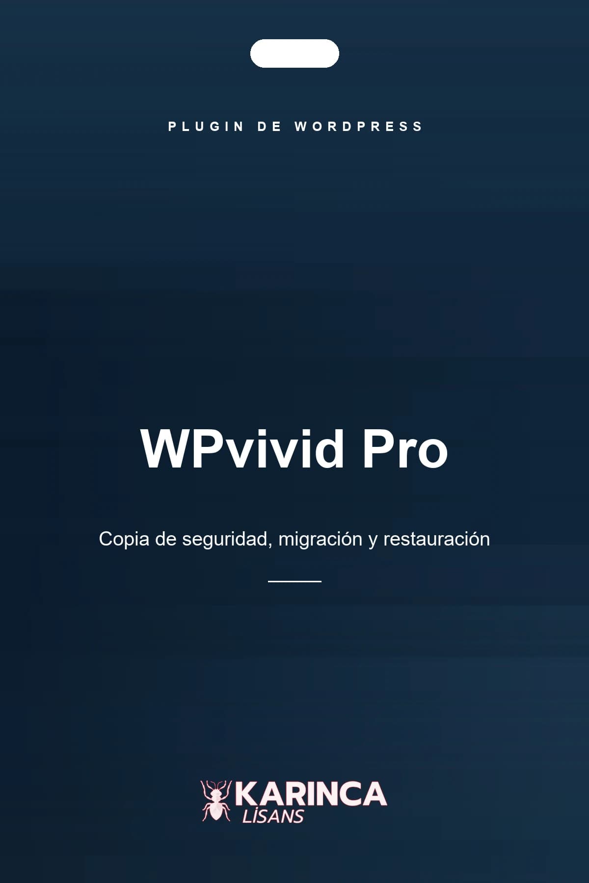 Licencia de WPvivid Pro