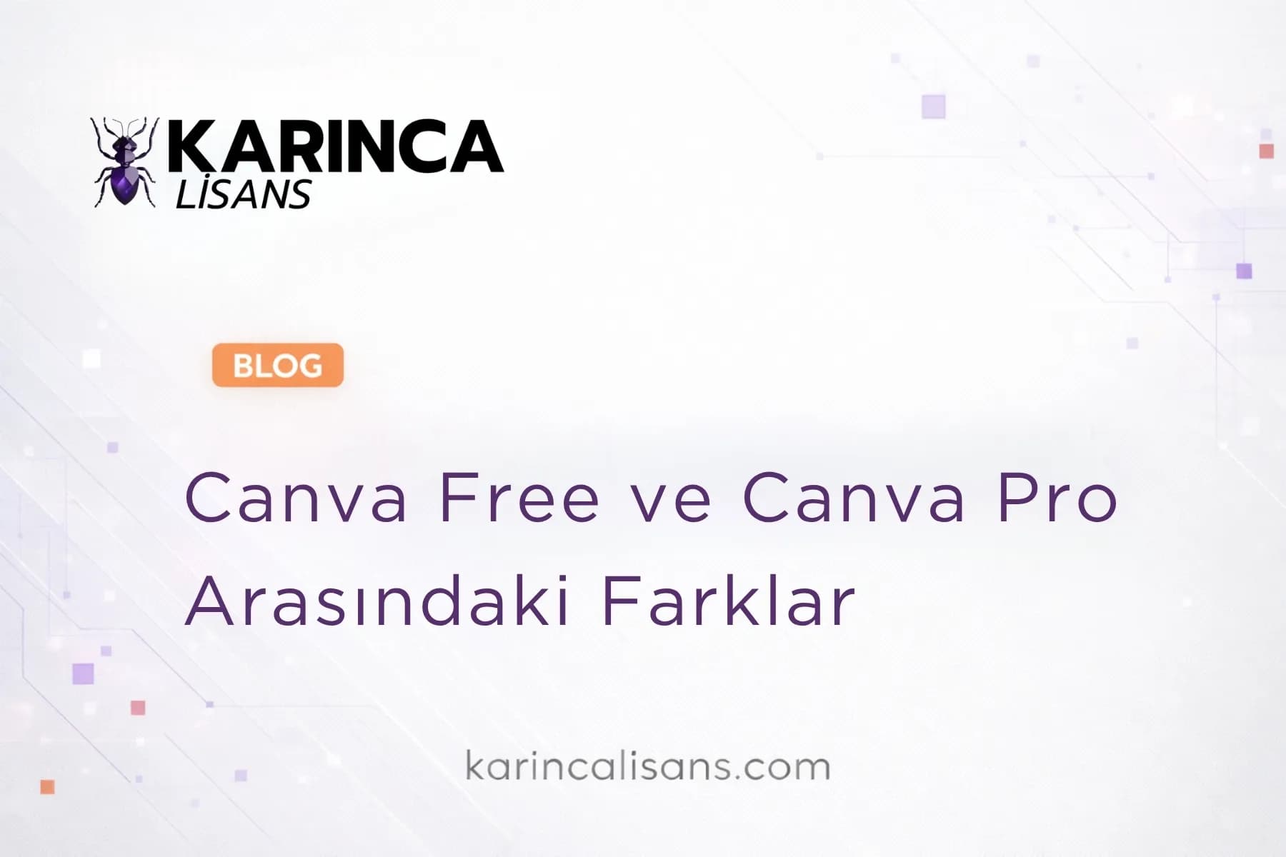Canva Free vs Canva Pro: The Differences — Is Upgrading Worth It?