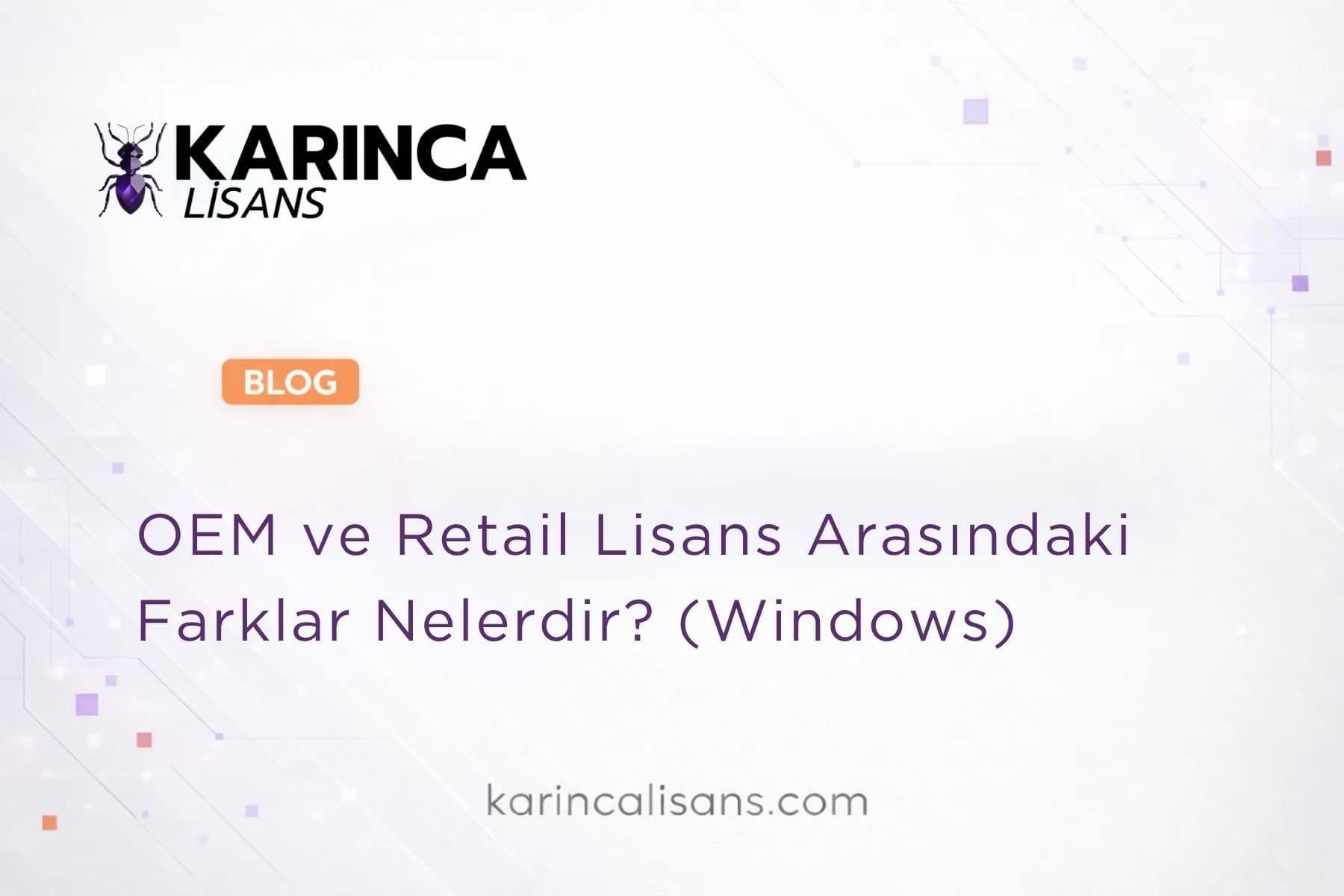 OEM ve Retail Lisans Arasındaki Farklar Nelerdir?
