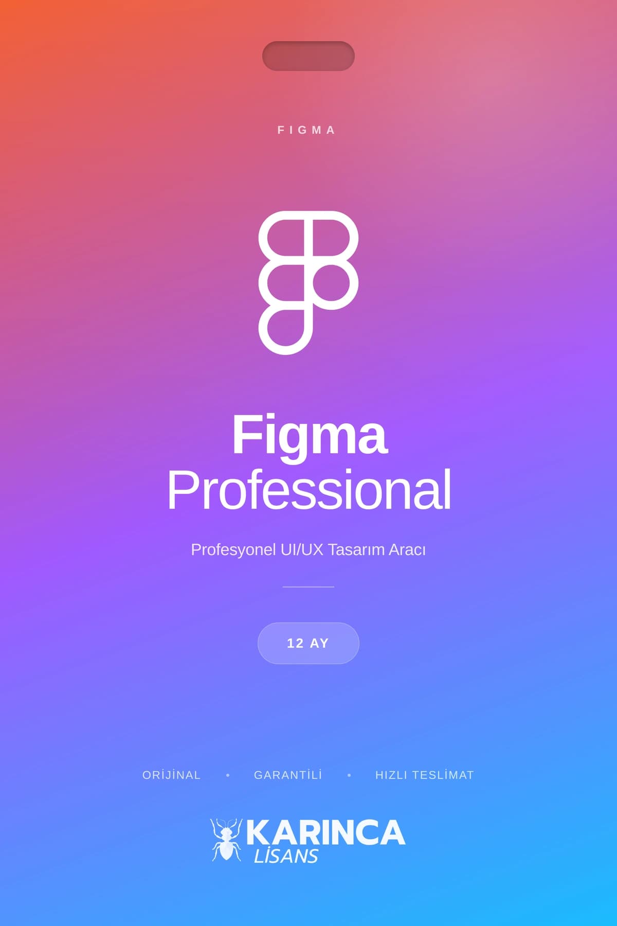 Figma Pro License