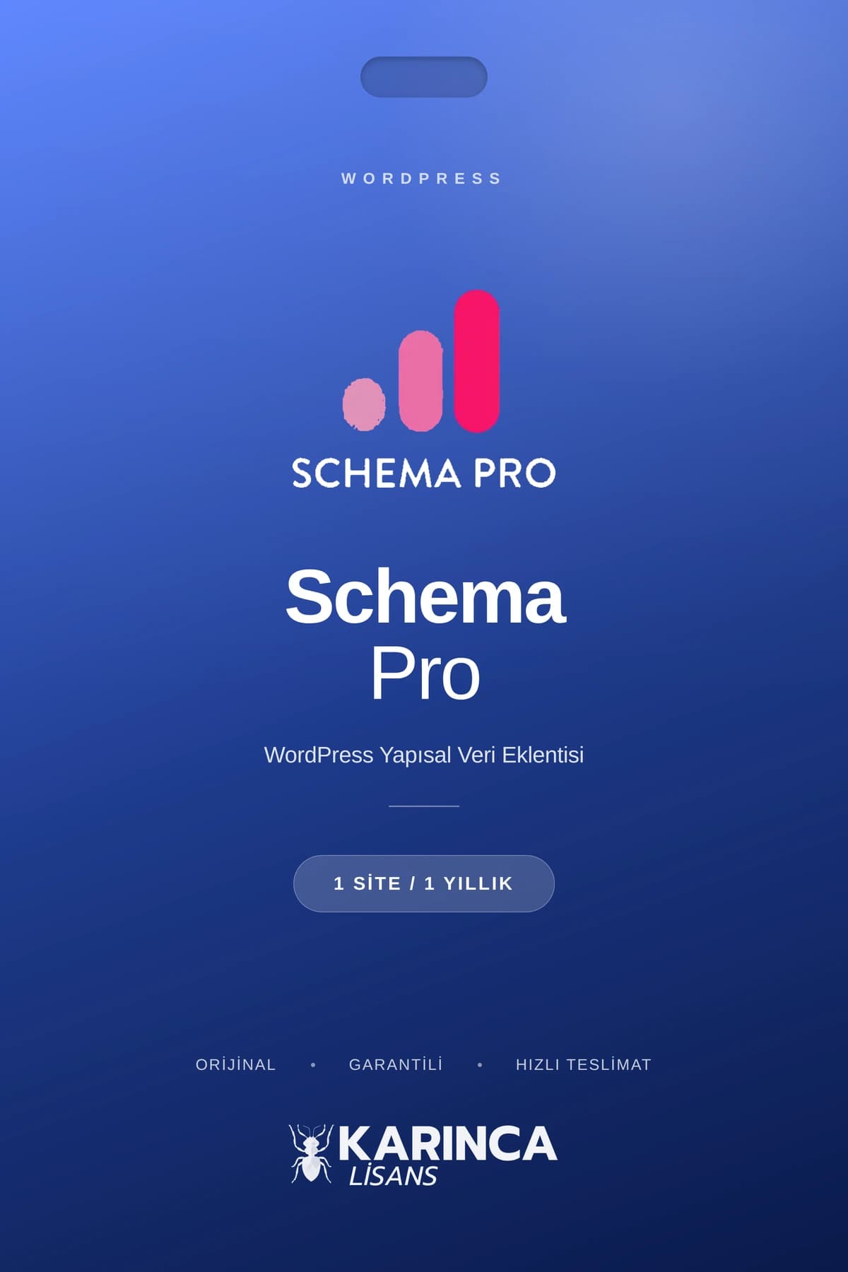 schema pro lisans satın al