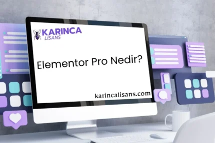 Elementor Pro Lisans Nedir