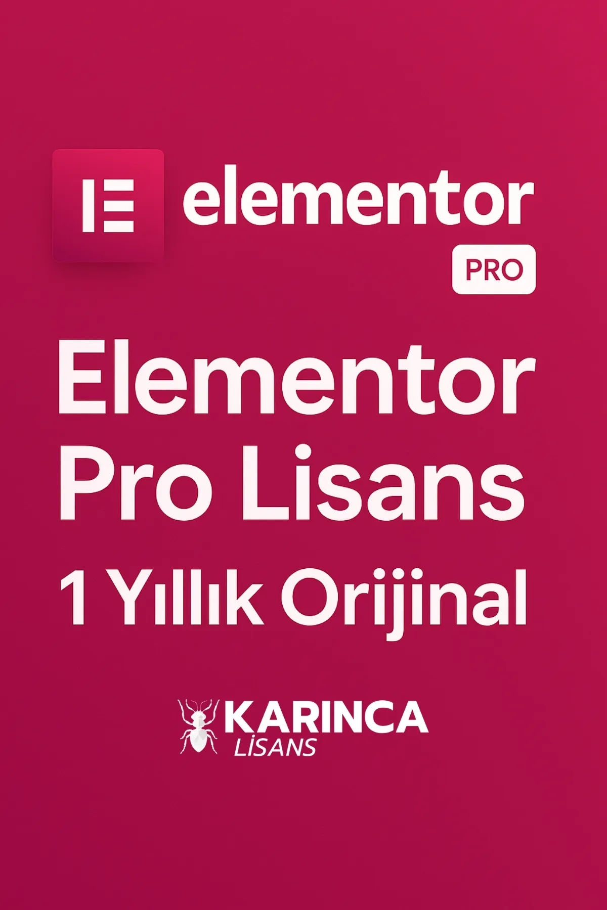 Elementor Pro Lisans Satın Al