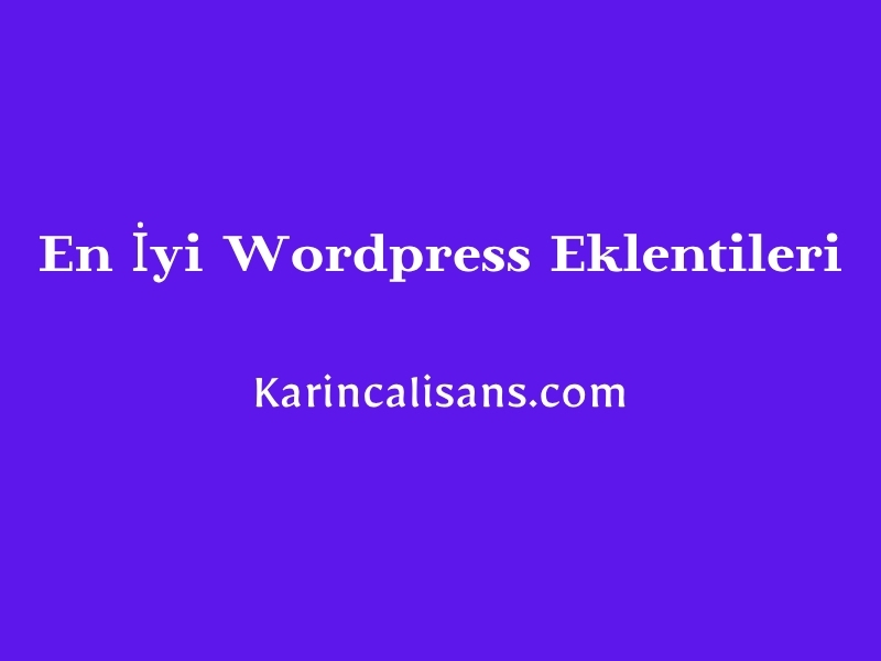 En İyi Wordpress Eklentileri