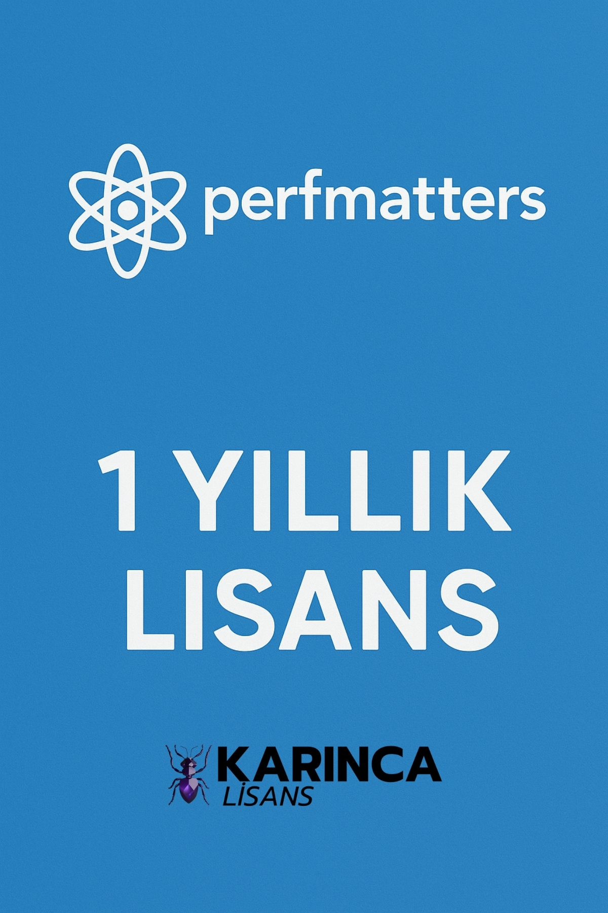 PerfMatters Pro Satın Al