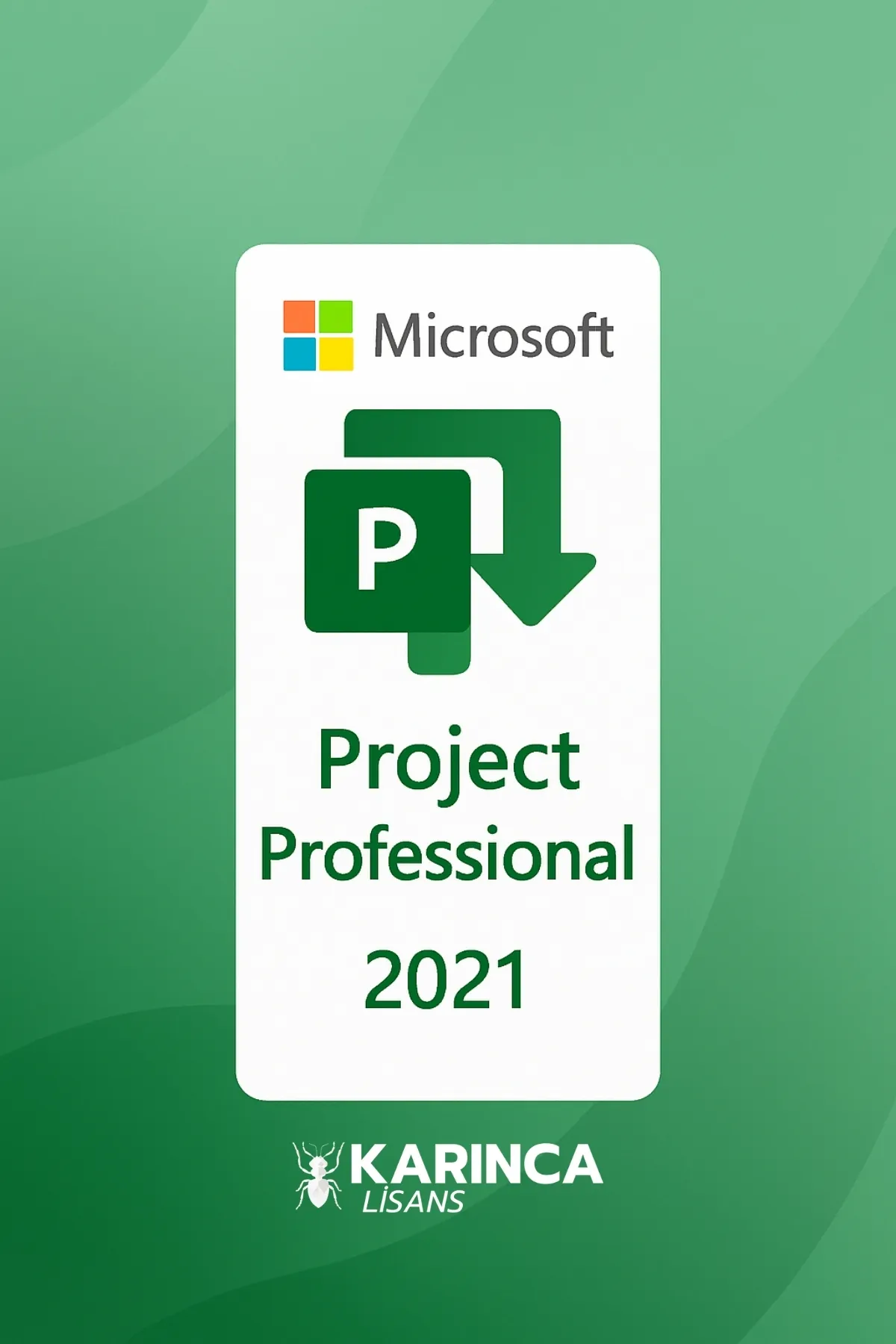 Project Pro 2021 Lisans Key Satın Al