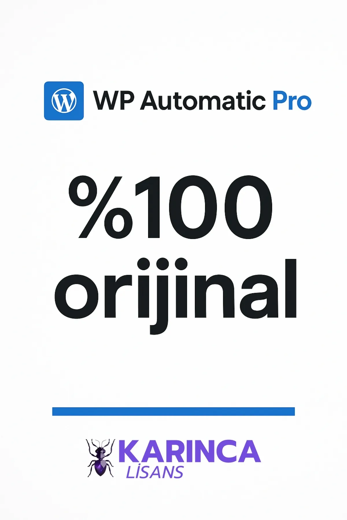 WP Automatic Pro Satın Al