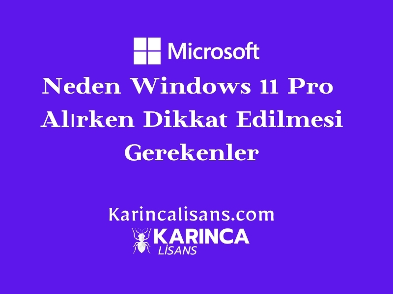 Windows 11 pro lisansı alırken nelere dikkat edilmeli