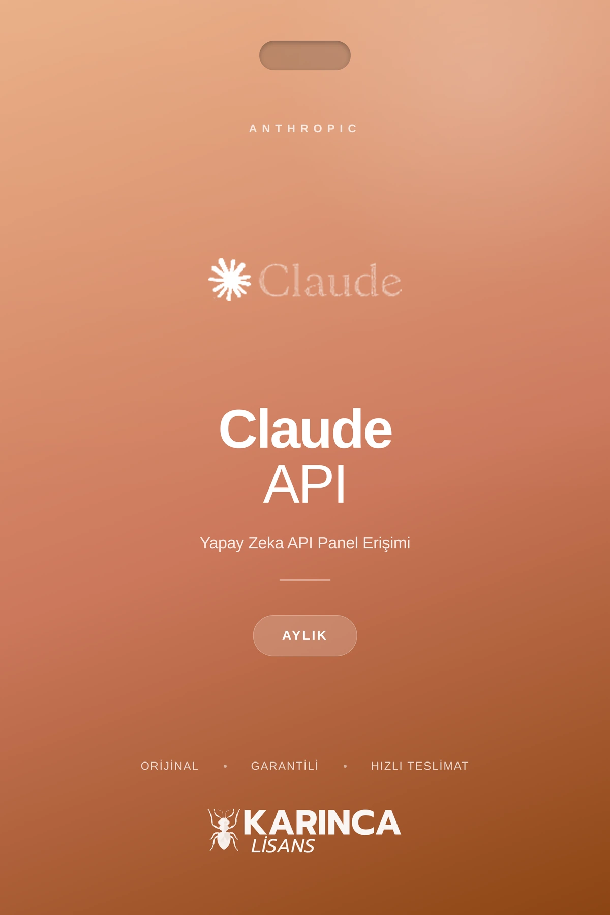 claude lisans satın al