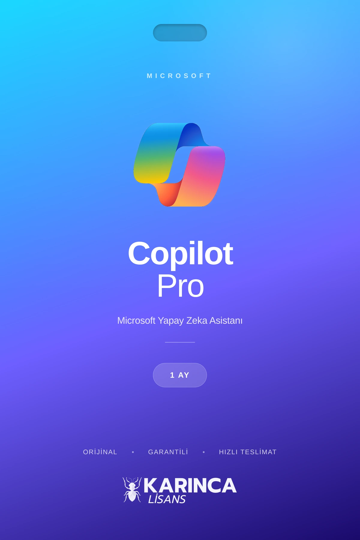 copilot pro lisans satın al