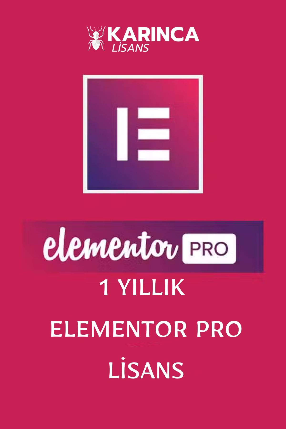Elementor Pro Satın Al