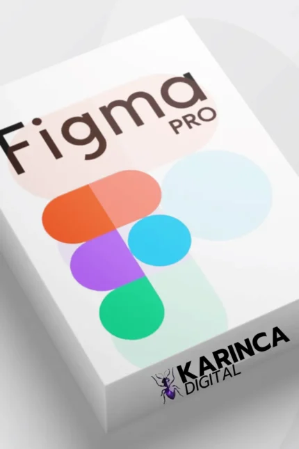 Figma Pro Satın Al