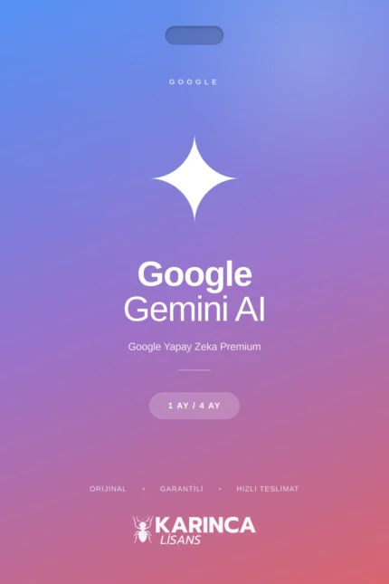 gemini pro lisans satın al