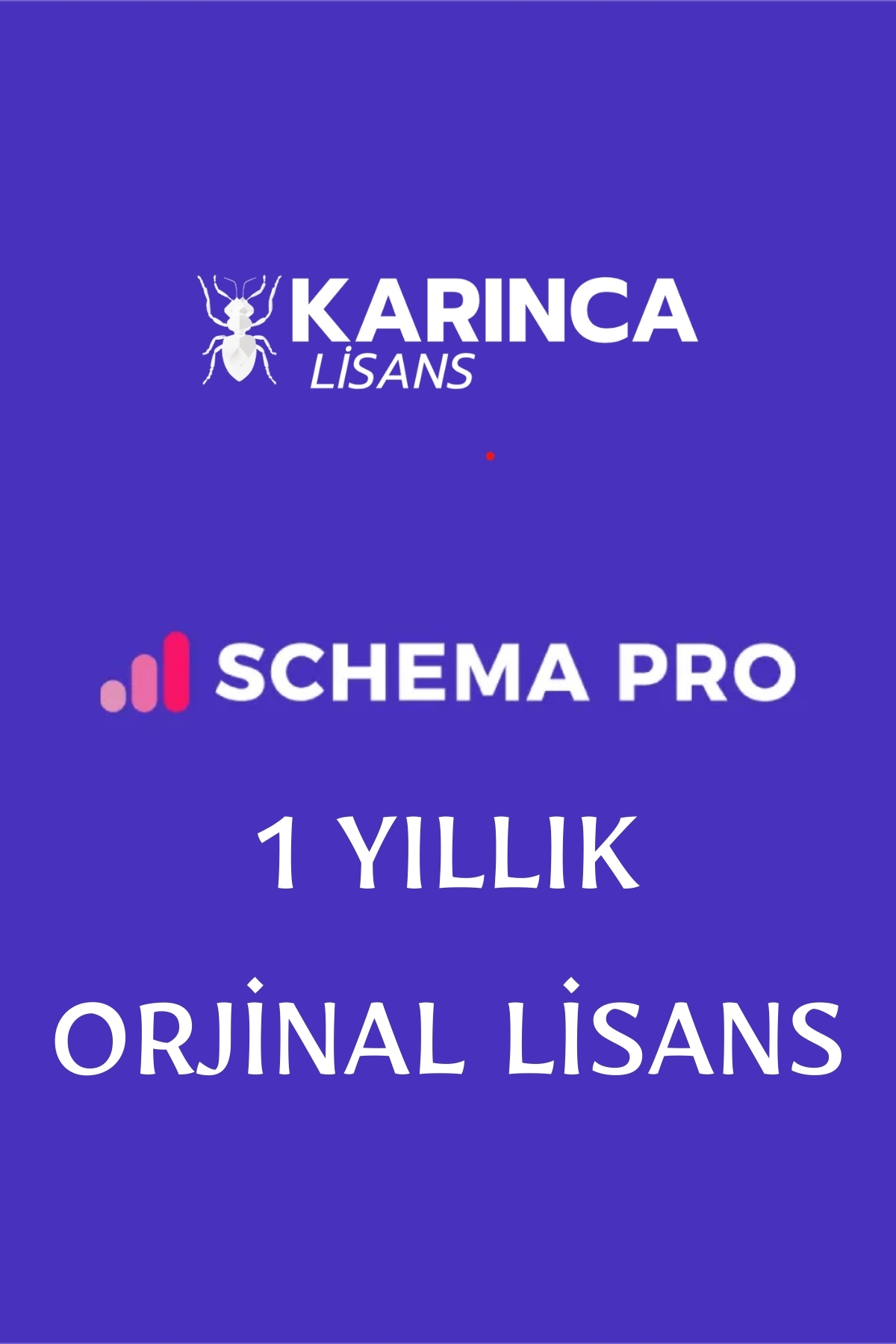 Schema Pro Satın Al