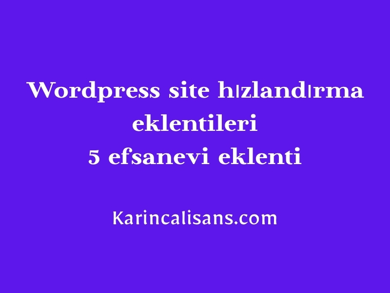 wordpress-site-hizlandirma-eklentileri
